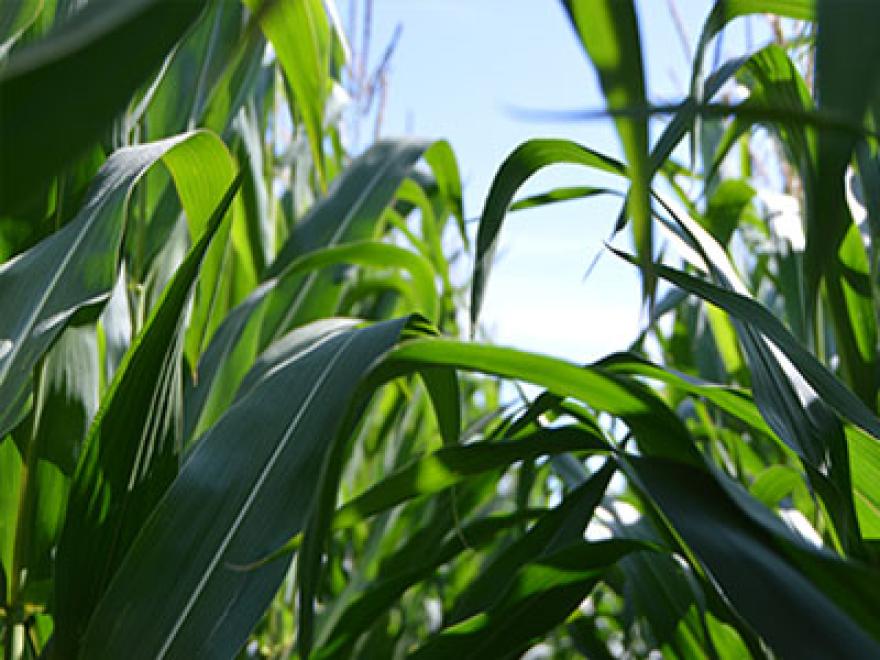 our-response-to-covid-19