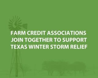 texas-winter-storm-relief