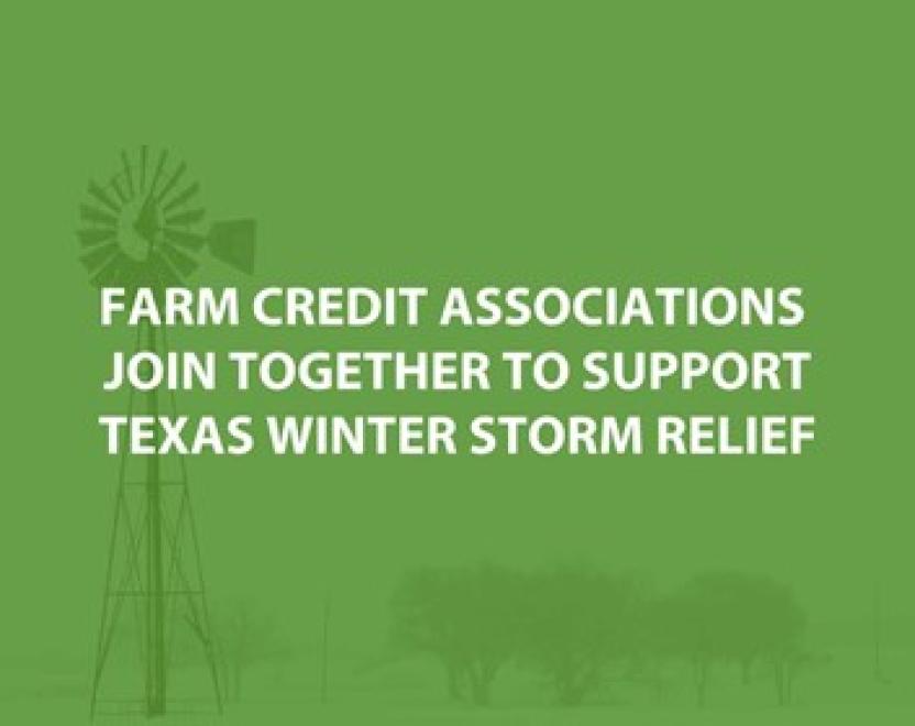 texas-winter-storm-relief