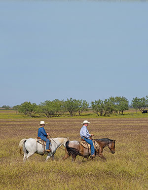 Richard says that he and wife Karen operate as a team, and he credits her for keeping the ranch going as he attends to TSCRA or hospital matters.