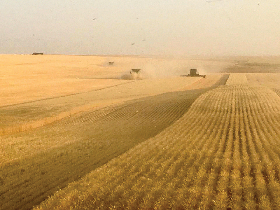 Scenic views greet Jeff Gregory as he combines wheat across the country. Photos courtesy of the Gregory family
