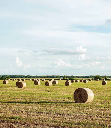 Farm-and-ranch-loans