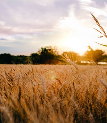 Farm-and-ranch-loans