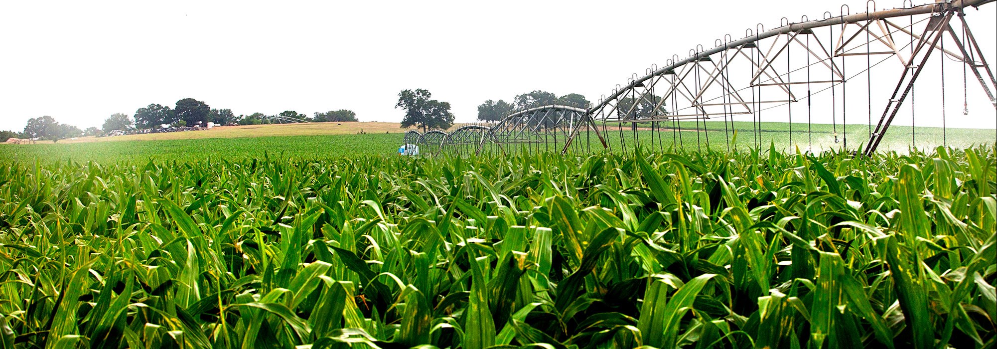 Farm & Agriculture Line Of Credit