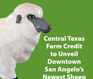 CTFC to Unveil Downtown San Angelo’s Newest Sheep Statue